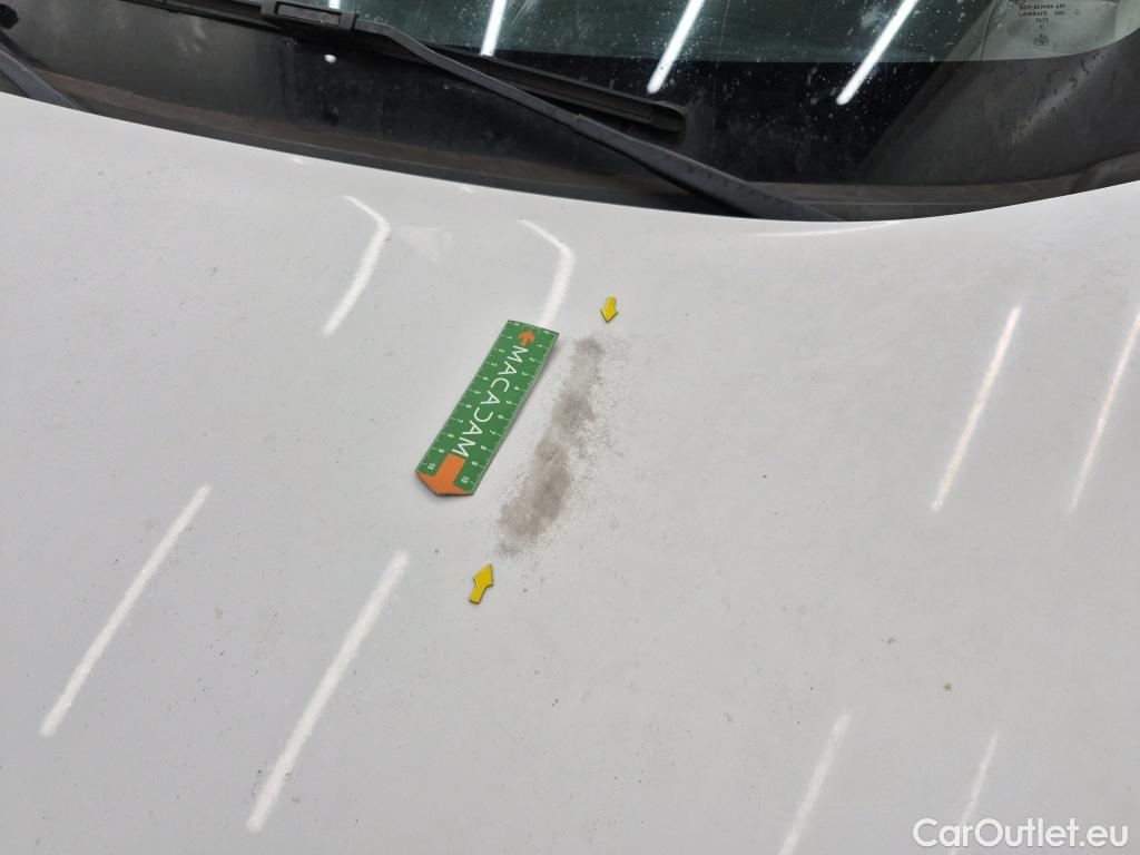  Renault  Kangoo  II Express Extra (Série Spéciale) 1.5 dCi 95CV BVM6 E6dT #34