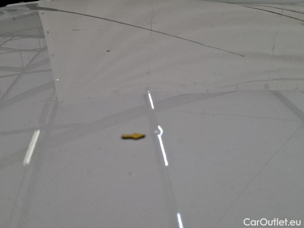  Renault  Trafic  Fourgon L1H1 1000 Confort 1.6 dCi 95CV BVM6 E6dT #38