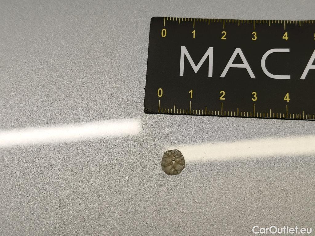  Seat  Arona  Business 1.0 TSI 95CV BVM5 E6d #55