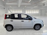  Fiat  Panda FIAT  / 2011 / 5P / BERLINA 1.0 70CV SeS HYBRID E6D-T EASY #7