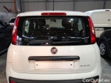  Fiat  Panda FIAT  / 2011 / 5P / BERLINA 1.0 70CV SeS HYBRID E6D-T EASY #35