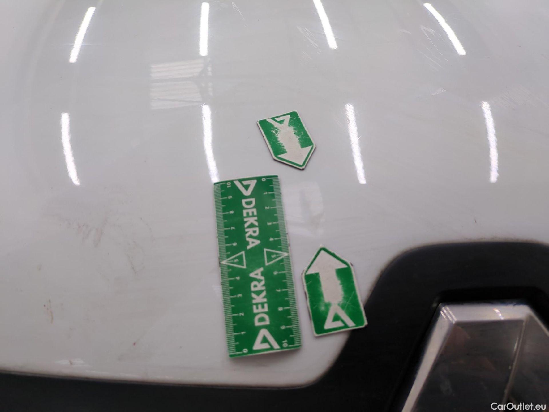  Renault  Trafic RENAULT  / 2019 / 4P / Fourgon tole NV FG GCF L1H1 1200 dCi 120 S&S #52