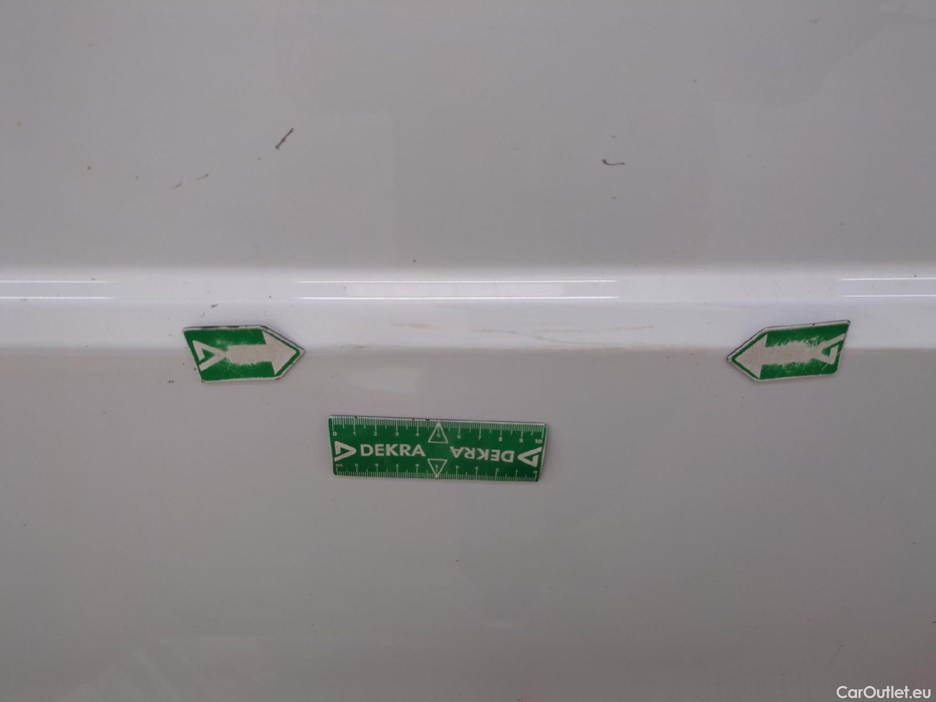  Renault  Trafic RENAULT  / 2019 / 4P / Fourgon tole NV FG GCF L1H1 1200 dCi 120 S&S #44