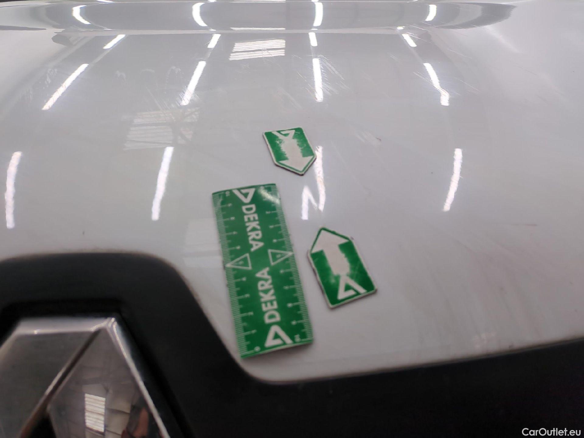  Renault  Trafic RENAULT  / 2019 / 4P / Fourgon tole NV FG GCF L1H1 1200 dCi 120 S&S #51