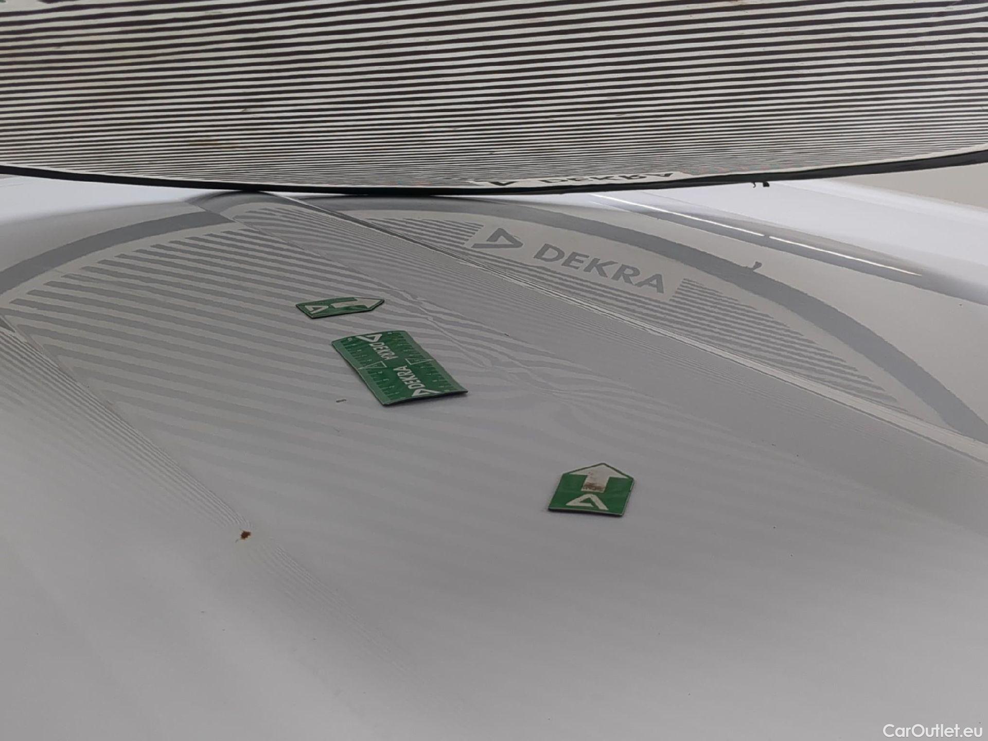  Renault  Kangoo  II Express Maxi Extra (Série Spéciale) 1.5 dCi 95CV BVM6 E6dT #13