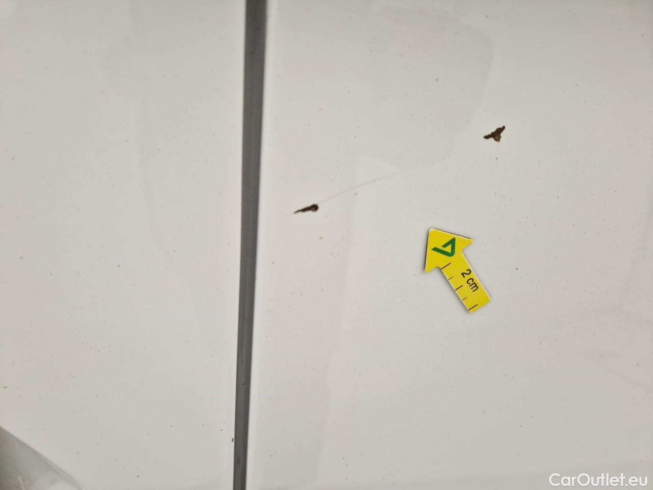  Ford  Transit 1.5 TDCi 100CP Trend #30