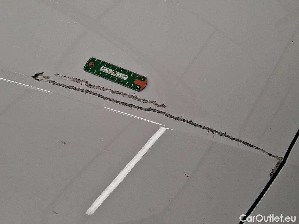  Seat  Leon  Business 2.0 TDI 115CV BVM6 E6d / TRANSFO VP/VF #2