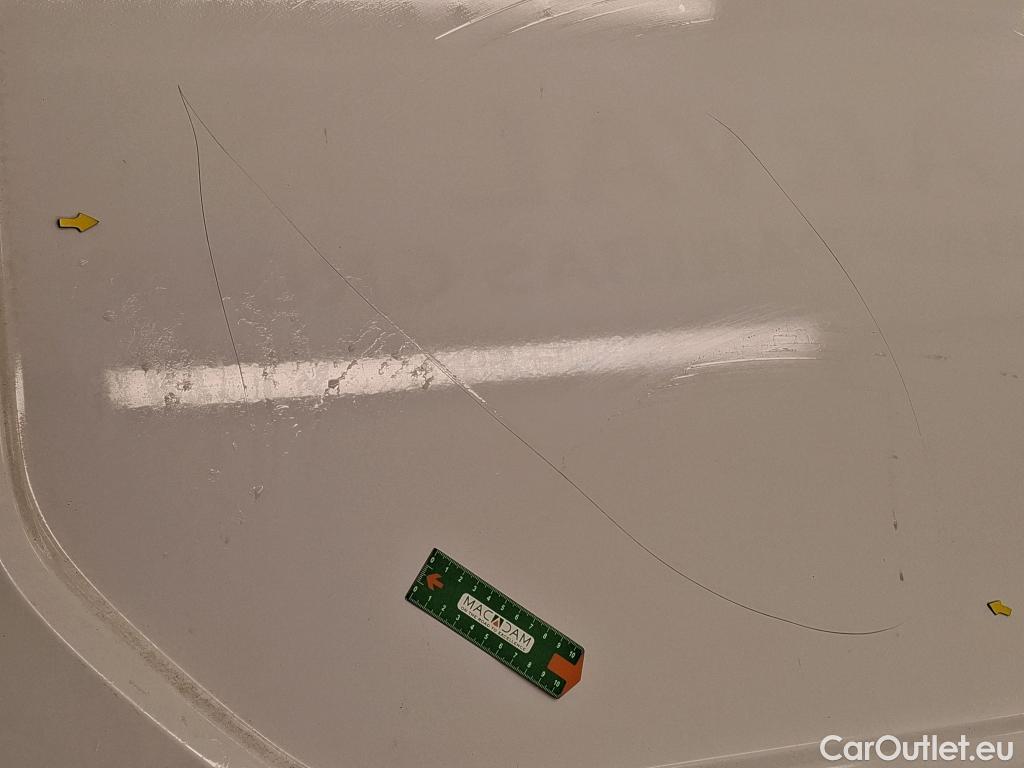  Renault  Trafic RENAULT  / 2019 / 4P / Fourgon tole FG GCF L1H1 1000 Energy dCi 145 EDC #9