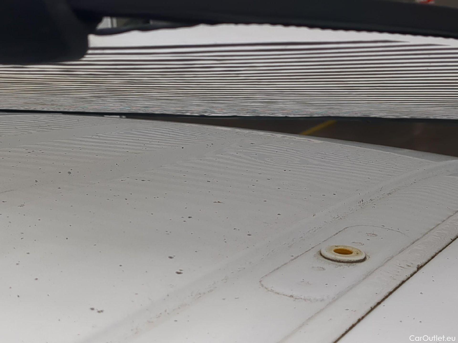  Citroen  Berlingo  Fourgon Worker M 1000 1.5 BlueHDi 100CV BVM5 E6dT #25