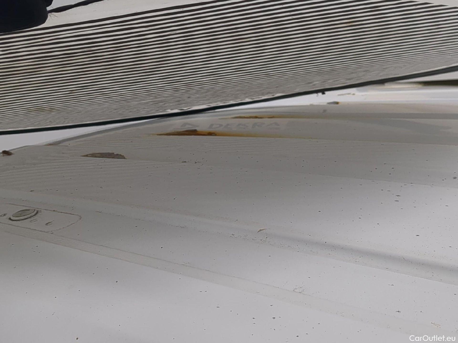  Citroen  Berlingo  Fourgon Worker M 1000 1.5 BlueHDi 100CV BVM5 E6dT #29