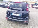  Fiat  Panda 1.0 FireFly 70cv S&S Hybrid Cross Manual Petrol  13 #63