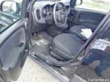  Fiat  Panda 1.0 FireFly 70cv S&S Hybrid Cross Manual Petrol  13 #95