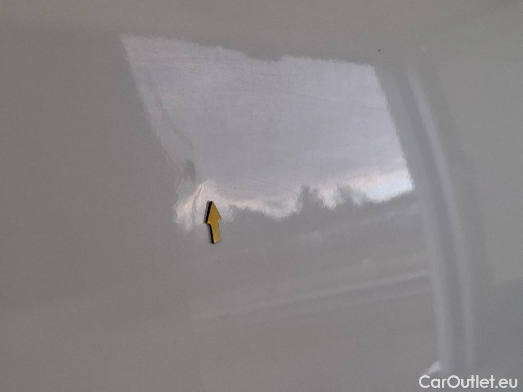  Renault  Kangoo  II Express Extra (Série Spéciale) 1.5 dCi #13