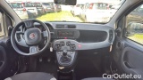  Fiat  Panda 1.0 FireFly 70cv S&S Hybrid #6