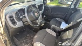  Fiat  Panda 1.0 FireFly 70cv S&S Hybrid #7