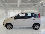 Fiat  Panda FIAT  / 2012 / 5P / BERLINA 1.2 69 CV VAN EURO6D 4 POSTI EASY #8