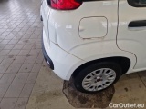  Fiat  Panda FIAT  / 2012 / 5P / BERLINA 1.2 69 CV VAN EURO6D 4 POSTI EASY #30
