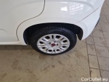  Fiat  Panda FIAT  / 2012 / 5P / BERLINA 1.2 69 CV VAN EURO6D 4 POSTI EASY #51