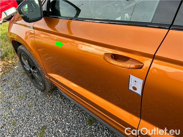  Skoda  Karoq  2.0TDI 110 Sp.Ex 4x4 AT #19