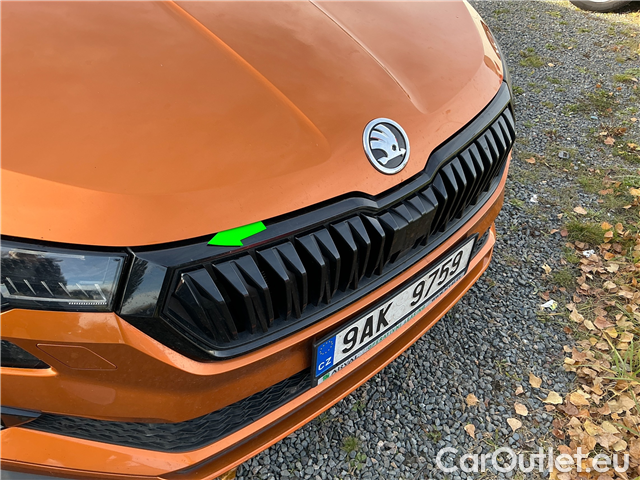  Skoda  Karoq  2.0TDI 110 Sp.Ex 4x4 AT #11