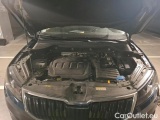  Skoda  Karoq 1.6 TDI 116 DSG7 BUSINESS #15