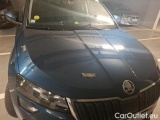  Skoda  Karoq 1.6 TDI 116 DSG7 BUSINESS #31