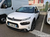 C4 Cactus