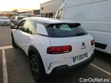 C4 Cactus