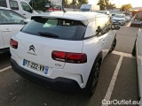 C4 Cactus