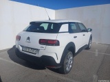 C4 Cactus