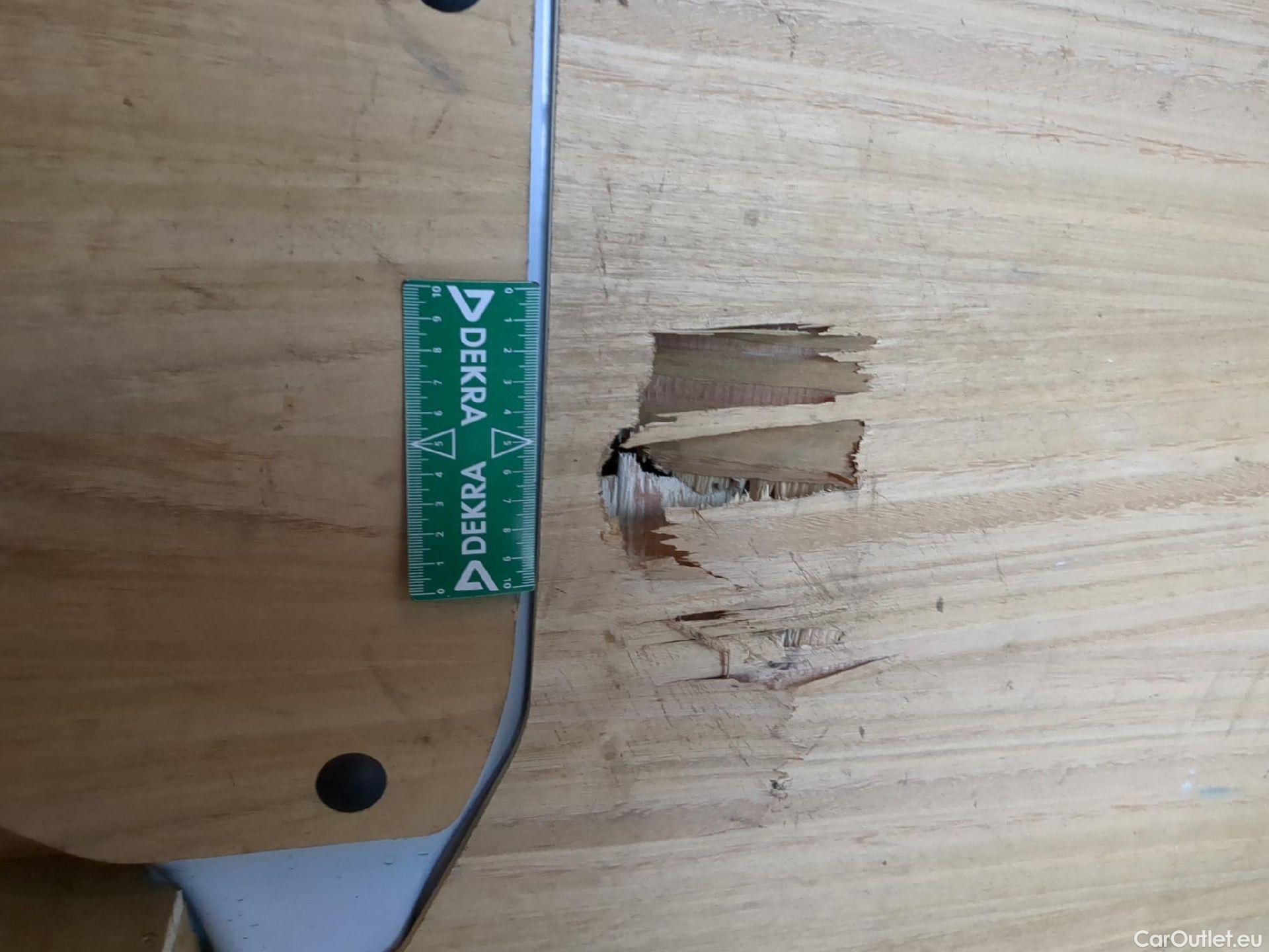  Renault  Trafic RENAULT  / 2019 / 4P / Fourgon tole NV FG GCF L1H1 1200 dCi 120 #24