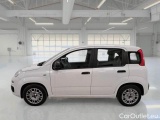  Fiat  Panda FIAT  / 2011 / 5P / BERLINA 1.0 FIREFLY 70CV SeS HYBRID #8