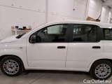  Fiat  Panda FIAT  / 2011 / 5P / BERLINA 1.0 FIREFLY 70CV SeS HYBRID #43