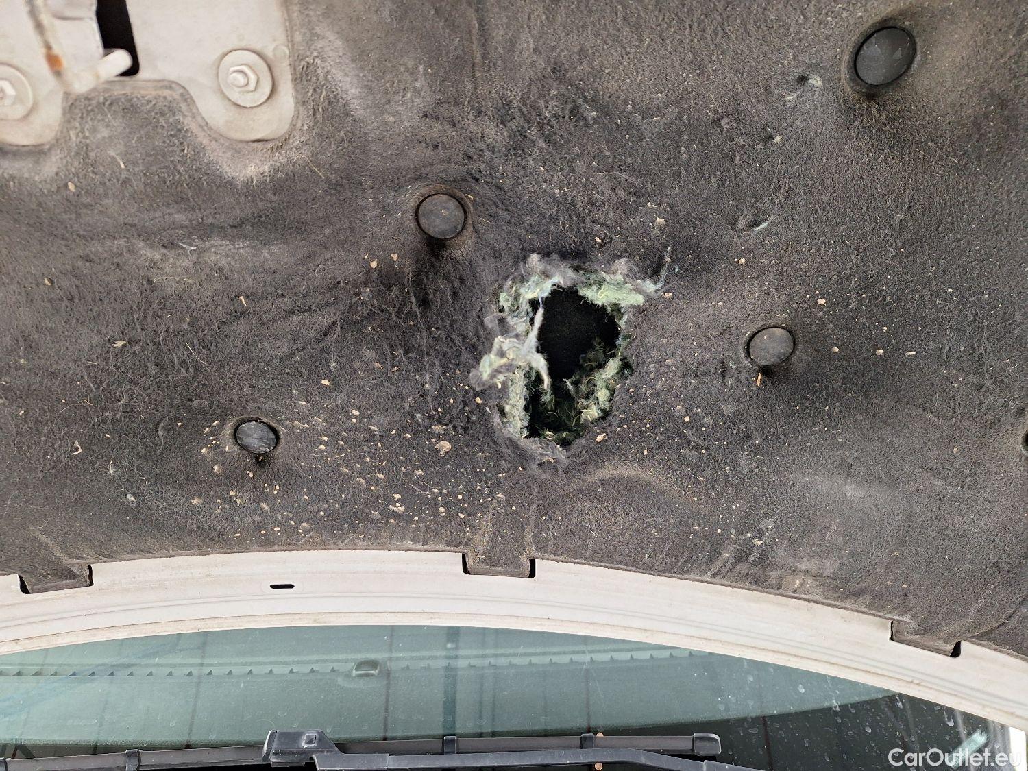  Ford  Transit Ford, _Trans.Custom FL'18, Ford  Custom 300L 2.0TD130Pk/96Kw M6 FWD Tr #36