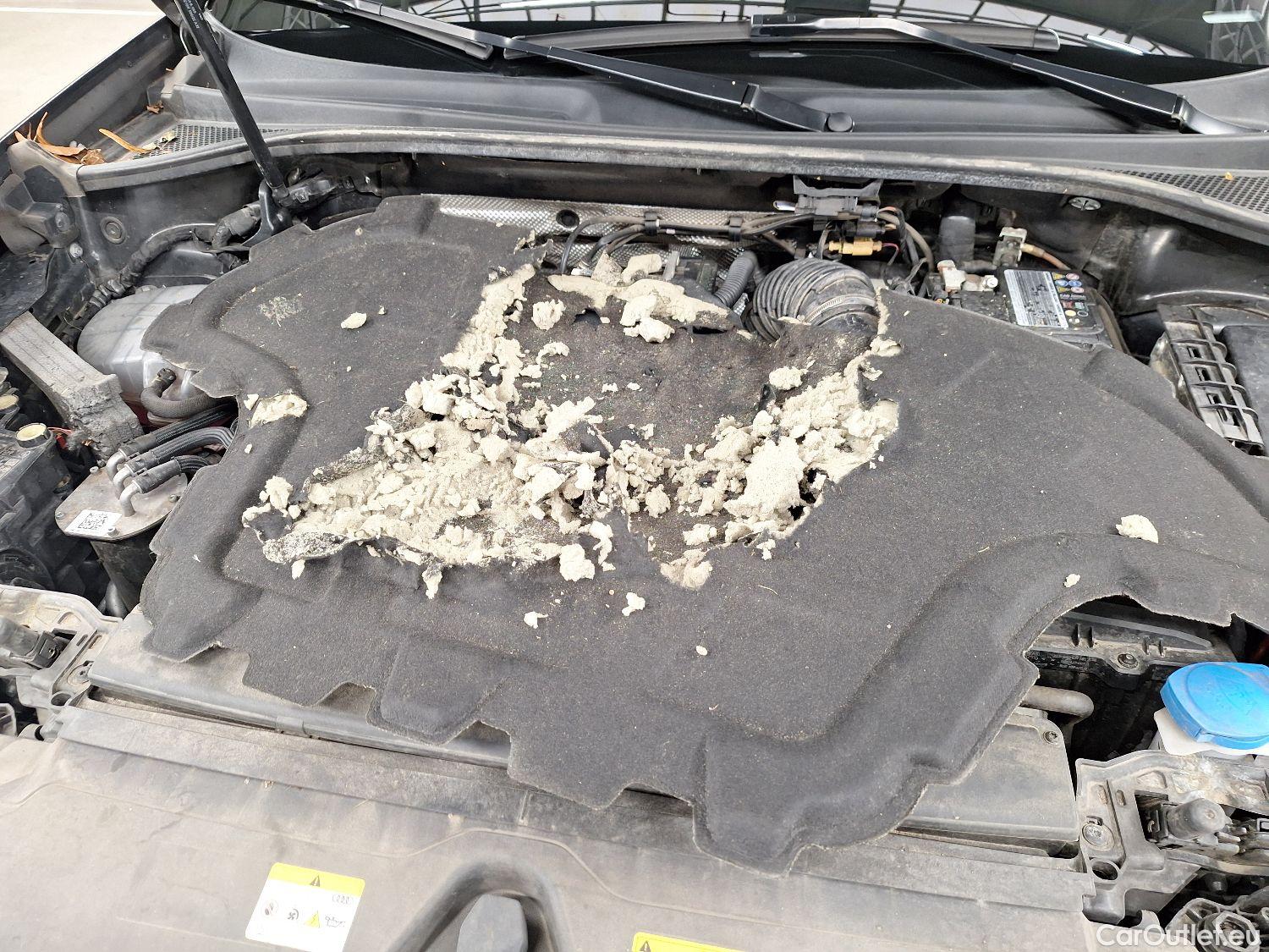  Audi  Q3 Audi,  '18, Audi  35 TDI S tronic S line Business Edition 5d #24