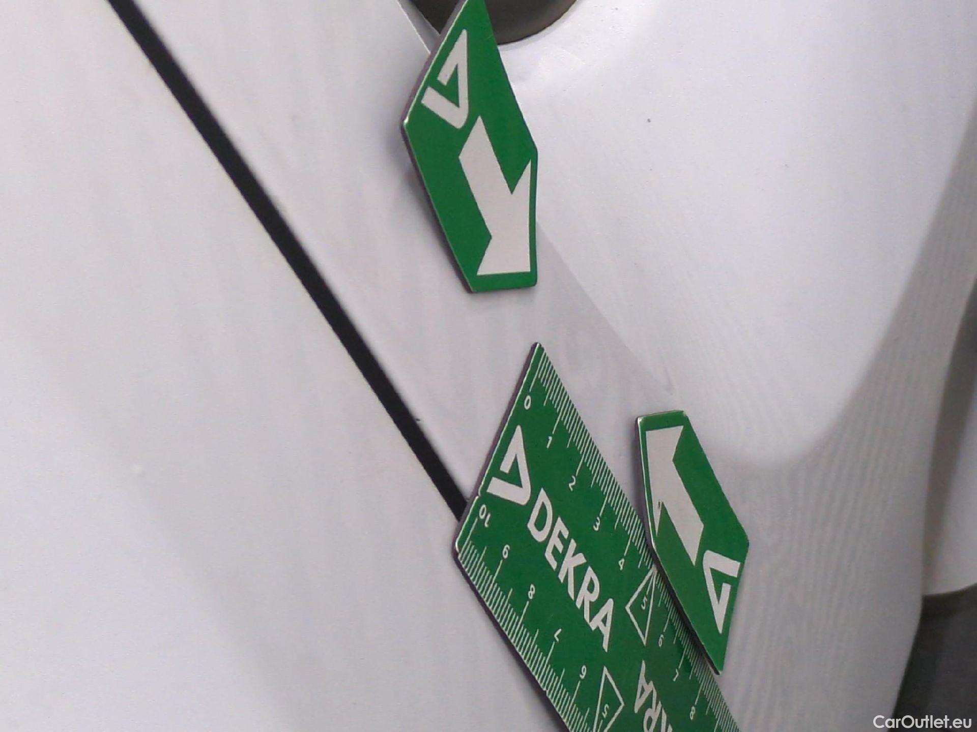  Renault  Kangoo  Express Maxi Grand Confort 1.5 dCi 90CV BVM5 E6 #40