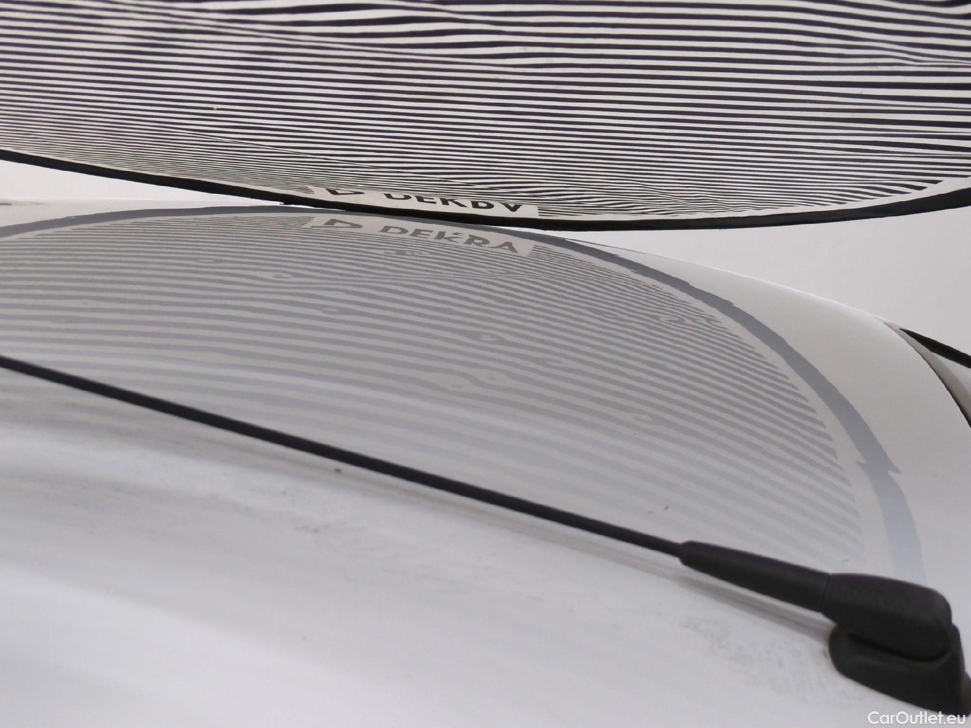  Renault  Kangoo  Express Maxi Grand Confort 1.5 dCi 90CV BVM5 E6 #31