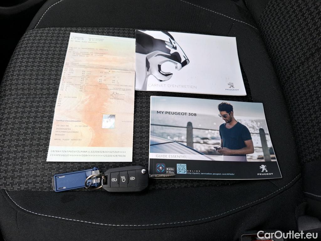  Peugeot  308  Active Business 1.2 PureTech 110CV BVM6 E6d #9