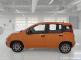  Fiat  Panda FIAT  / 2011 / 5P / BERLINA 1.2 69CV SeS E6D-TEMP EASY #8