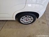  Fiat  Panda FIAT  / 2011 / 5P / BERLINA 1.3 MJT 95CV SeS E6 EASY #19