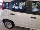  Fiat  Panda FIAT  / 2011 / 5P / BERLINA 1.3 MJT 95CV SeS E6 EASY #35