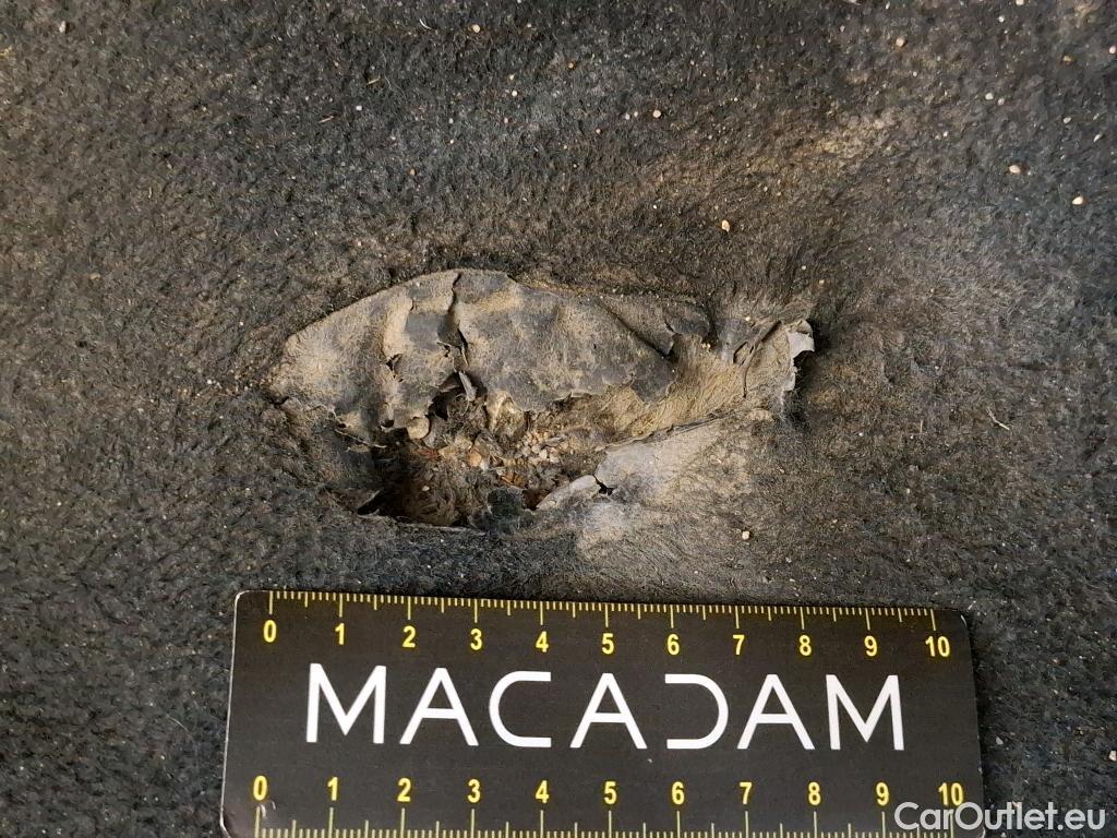  Hyundai  Bayon  / 2021 / 5P / SUV 1.0 T-GDI 100 HYBRID 48V INITIA / TRANSFO VP/VF #2