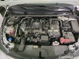  Toyota  Corolla  (E21) (2019)  TS 1.8Hyb.Trek AT #11