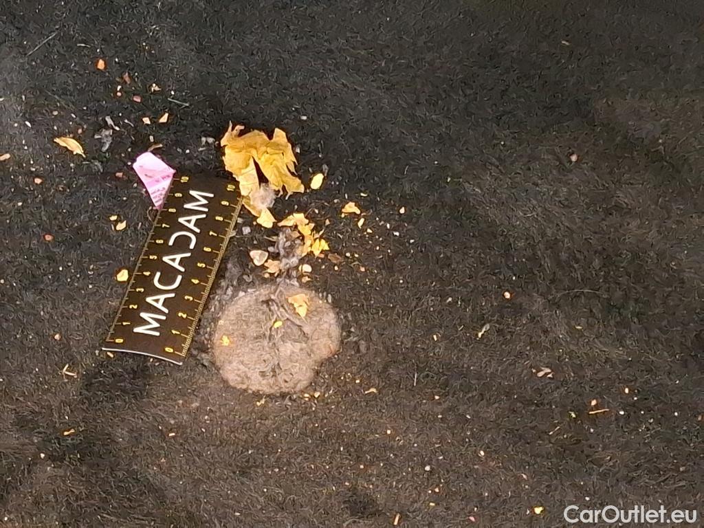  Audi  A1 Sportback  30 TFSI S line 1.0 TFSI 110CV BVA7 E6d #15