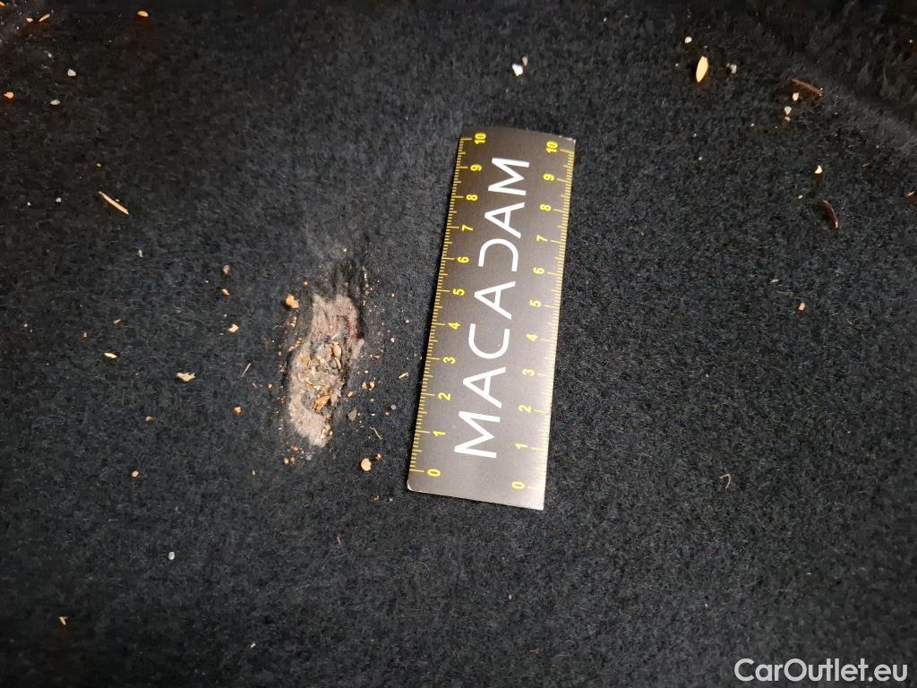  Seat  Leon  ST Xcellence 1.5 TSI 150CV BVA7 E6dT #19