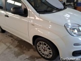  Fiat  Panda FIAT  / 2011 / 5P / BERLINA 1.0 FIREFLY 70CV SeS HYBRID #47