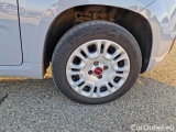 Fiat  Panda FIAT  / 2011 / 5P / BERLINA 1.2 69CV SeS E6D-TEMP EASY #17