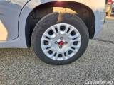  Fiat  Panda FIAT  / 2011 / 5P / BERLINA 1.2 69CV SeS E6D-TEMP EASY #19
