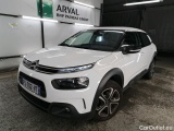 C4 Cactus