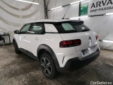 C4 Cactus
